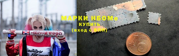 стаф Елизово