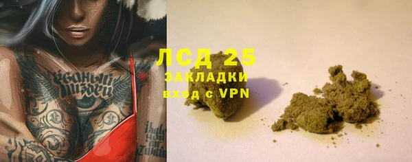 стаф Елизово