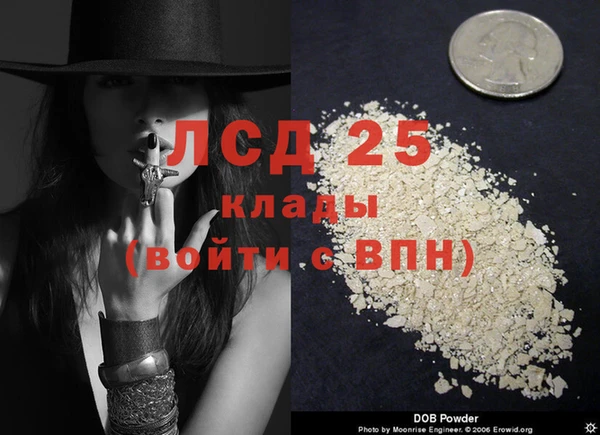 гашик Заволжье