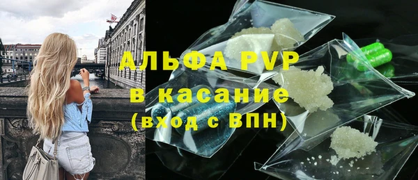 стаф Елизово