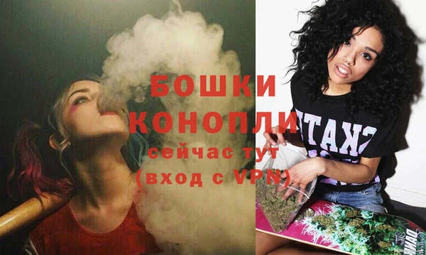 мяу мяу мука Елабуга