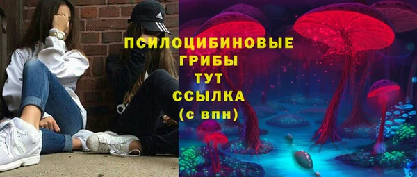 мяу мяу мука Елабуга