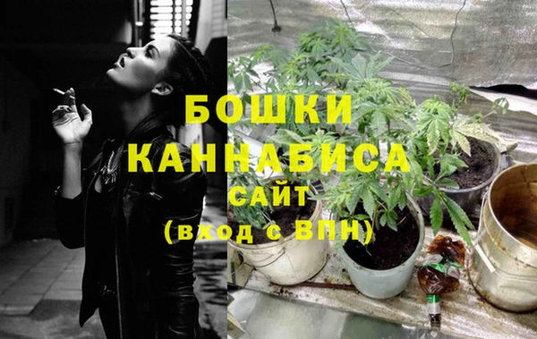 стаф Елизово