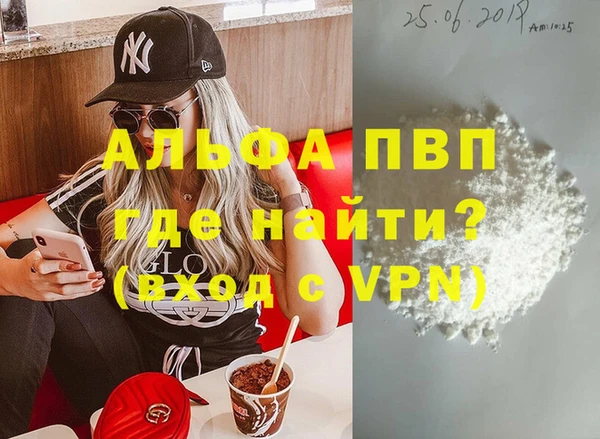 стаф Елизово