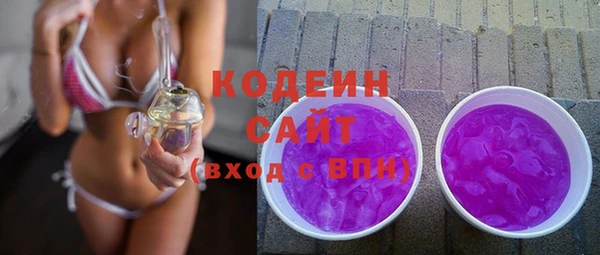 стаф Елизово
