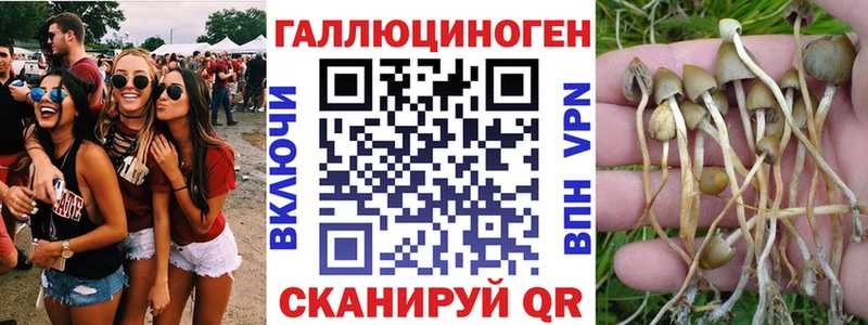 Галлюциногенные грибы MAGIC MUSHROOMS Кисловодск